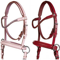 Produktbild von HKM Funny Horses 2 Gebisslose Trense für Mini-Shettys in Rot