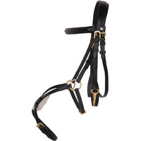 Produktbild von HKM Gebisslose Trense Mexican Style aus Leder für Ponys in Schwarz