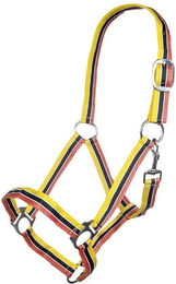 HKM Genf Stallhalfter für Vollblut aus Nylon in Orange Schwarz Gelb – Bild 1 von 1