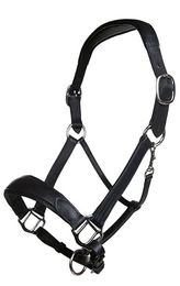 HKM Glamour Shield Reithelm für Damen Dunkelblau Silber 53-55 cm – Bild 1 von 4