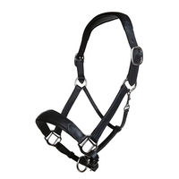 Produktbild von HKM Glamour Shield Reithelm für Damen Dunkelblau Silber 53-55 cm