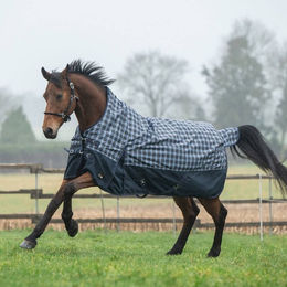 HKM Glasgow Highneckdecke mit Fleecefutter Schwarz Größe 115 – Bild 1 von 2