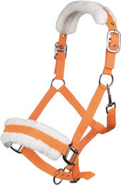 HKM Halfter für Warmblut mit Plüschpolsterung in Orange – Bild 1 von 2