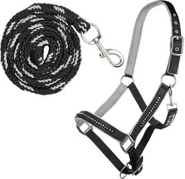 HKM Halfter für Pferde mit Karabiner in Schwarz für Vollblut – Bild 1 von 1
