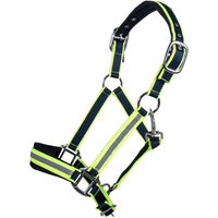 Produktbild von HKM Halfter Reflective aus Neopren in Silber für Warmblut/WB