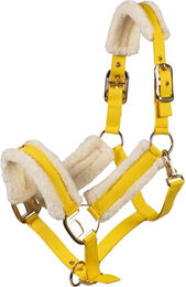 Produktbild von HKM Halfter und Stricke Limone Elegant für Warmblut in Grün Gold Gelb aus Polyester