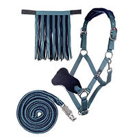 Produktbild von HKM Halfterset für Ponys mit Fliegenfransen und 180cm Führleine in Blau oder Türkis