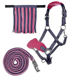 HKM Halfterset für Ponys mit Fliegenfransen und 180cm Strick sowie Panikhaken – Bild 1 von 4
