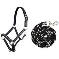 Produktbild von HKM Halfterset mit Strick und Karabiner für Pony und Shetty in Schwarz und Silber