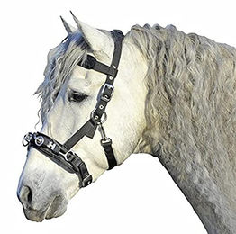 HKM Kappzaum aus Nylon für Pferde in Schwarz Größe M – Bild 1 von 2