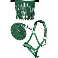 Produktbild von HKM Lilly Halfter-Set für Ponys mit Karabiner und Fliegenfransen aus Neopren in Grün und Silber
