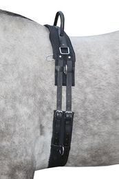 HKM Longiergurt 1795 aus Leder für Vollblut und Warmblut in Schwarz – Bild 1 von 1