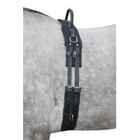 Produktbild von HKM Longiergurt 1795 aus Leder für Vollblut und Warmblut in Schwarz