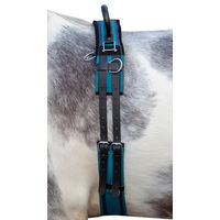 Produktbild von HKM Longiergurt aus Canvas mit Doppelgriff für Vollblut in Blau/Schwarz