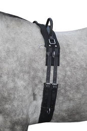 HKM Longiergurt aus Canvas mit Doppelgriff für Vollblut in Schwarz – Bild 1 von 3