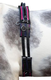 HKM Longiergurt aus Canvas mit Doppelgriff für Vollblut Pferde in Navy/Passion Pink – Bild 1 von 3