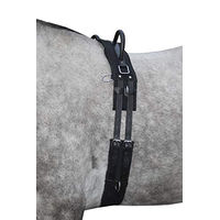 Produktbild von HKM Longiergurt aus Leder für Warmblut Pferde in Schwarz