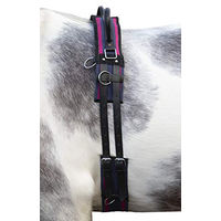 Produktbild von HKM Longiergurt Canvas mit Doppelgriff für Ponys in Navy/Passion Pink