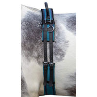 Produktbild von HKM Longiergurt Canvas mit Doppelgriff für Shettys in Navy/Sky Blue