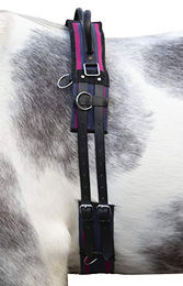 HKM Longiergurt Canvas mit festem Doppelgriff für Warmblut Pferde Navy/Passion Pink – Bild 1 von 5