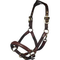 Produktbild von HKM Luna Lernhalfter für Pferde aus Leder und Nylon in Braun und Gold