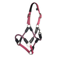 Produktbild von HKM Nele Halfter für Ponys aus Nylon in Pink