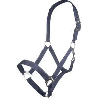 Produktbild von HKM Nylon Halfter für Pferde in Blau