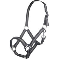 Produktbild von HKM Nylonhalfter Budapest mit Kontraststreifen Schwarz/Grau für Ponys