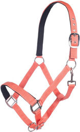 HKM Nylonhalfter Charming Stallhalfter für Pony in Koralle – Bild 1 von 1