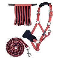 Produktbild von HKM Nylonhalfter-Set mit Karabinerstrick und Fliegenfransen für Warmblut in Lila/Flieder