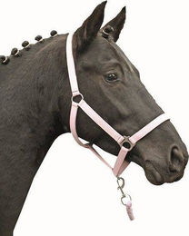 HKM Nylonhalfter Stars Economy Softice für Shetty in Milky Pink – Bild 1 von 1