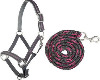 HKM Nylonhalfter Stars mit Karabinerstrick für Vollblut in Grau/Rosa – Bild 1 von 1