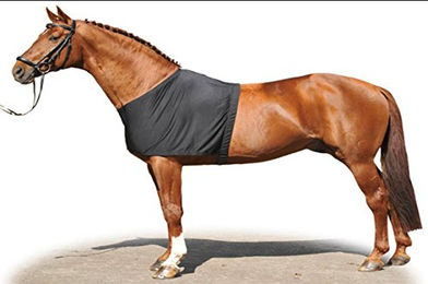 Produktbild von HKM Pferdedecke Schwarz XL