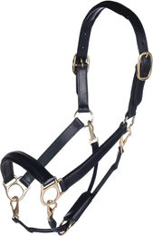 HKM Pferdehalfter aus Leder in Schwarz und Gold – Bild 1 von 1