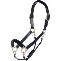 Produktbild von HKM Pferdehalfter aus Leder in Schwarz und Gold für Vollblut