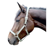 Produktbild von HKM Pony Dream Kinderbekleidung Dunkelblau 134/140