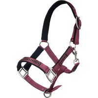 Produktbild von HKM Pony Halfter aus Nylon mit Karabiner in Rot