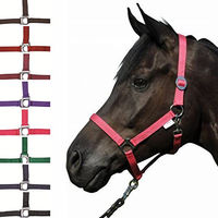 Produktbild von HKM Pony Halfter Stars Economy aus Nylon in Lila