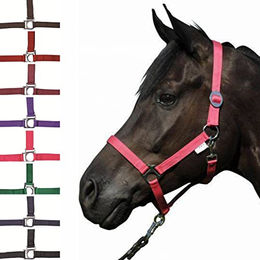 HKM Pony Halfter Stars Economy aus Nylon in Schwarz – Bild 1 von 2