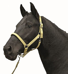 HKM Pony Halfter Stars Economy Softice in Milky Yellow – Bild 1 von 1