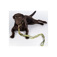 Produktbild von HKM Qooper Nylon Hundetrainingsleine Schleppleine wasserabweisend Grün Größe S - 200 cm