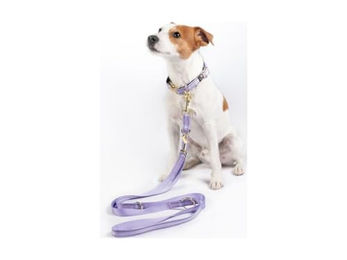 HKM Qooper Nylon Hundetrainingsleine Schleppleine wasserabweisend Lila Größe S – Bild 1 von 3