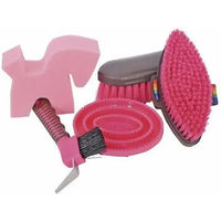 Produktbild von HKM Reitputzset Rosa