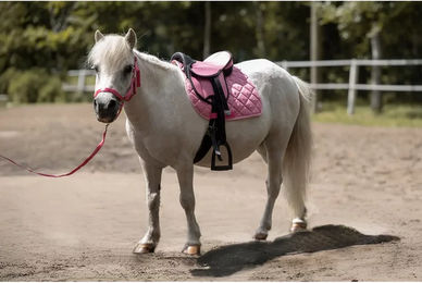 HKM Sattelset Lucy für Ponys aus Kunstleder in Rosa – Bild 1 von 1