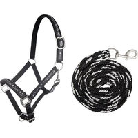 Produktbild von HKM Shetty Halsring mit Longe und Karabiner in Schwarz und Silber