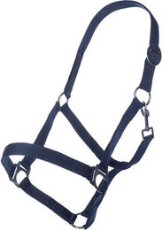 HKM Stallhalfter Classic für Warmblut in Dunkelblau mit Edelstahlbeschlägen – Bild 1 von 1