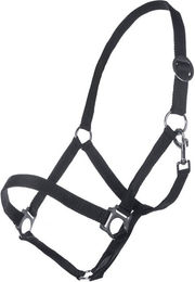 HKM Stallhalfter Classic für Warmblut mit Edelstahlbeschlägen in Schwarz – Bild 1 von 1