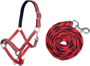 HKM Stallhalfter Stars aus Nylon mit Karabinerstrick für Warmblut in Rot/Dunkelblau – Bild 1 von 1