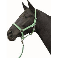 Produktbild von HKM Stallhalfter Stars Economy Softice Nylon Milky Green für Vollblut