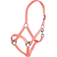 Produktbild von HKM Stars Economy Pferd Halfter aus Nylon in Orange und Rosa